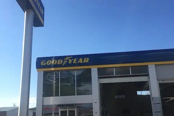 Ova Lastik A.Ş Goodyear - Resim 19