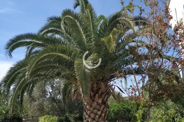 Akses Tatil Sitesi - Resim 3