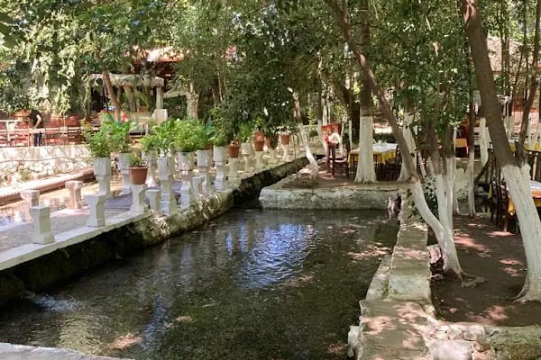 İzmir Çıkışlı Günübirlik Tekne Turları - Resim 19