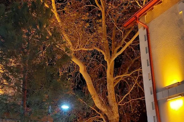 SOMA TREN İSTASYONU - Resim 18