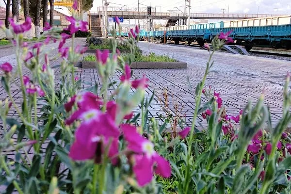 SOMA TREN İSTASYONU - Resim 16