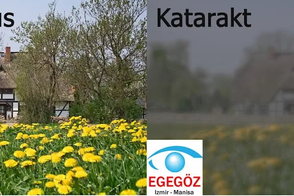 Egegöz Göz Hastanesi Bornova İzmir - Resim 17