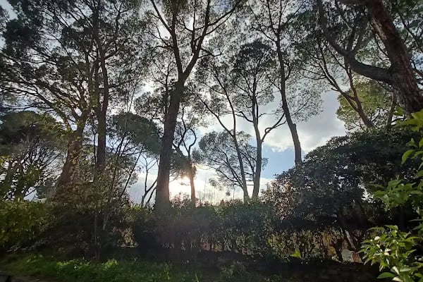 Reis'in Yeri Aile Balık Restoran - Resim 17