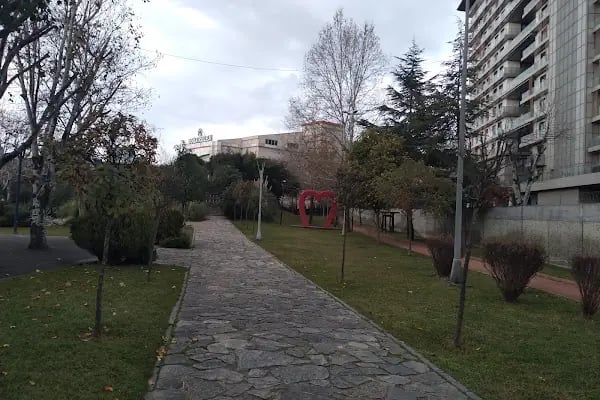 Enes'i Çoğaltma Merkezi - Resim 15