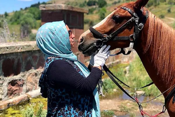 Çamlıdere Binicilik (Binicilik,Safari,Kahvalti,Izgara) - Resim 18