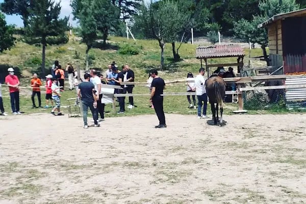 Çamlıdere Binicilik (Binicilik,Safari,Kahvalti,Izgara) - Resim 14