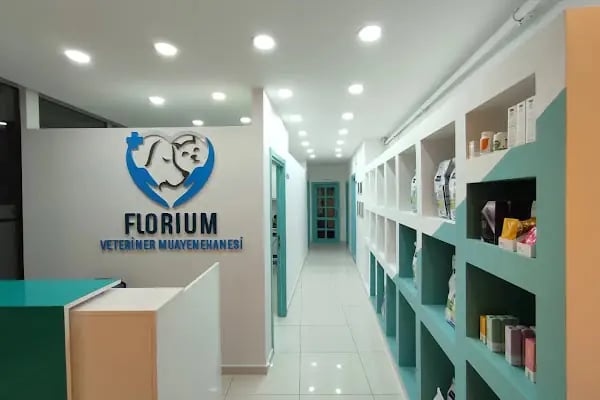 Florium Veteriner Muayenehanesi - Resim 6