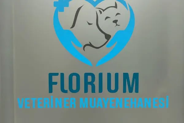 Florium Veteriner Muayenehanesi - Resim 19