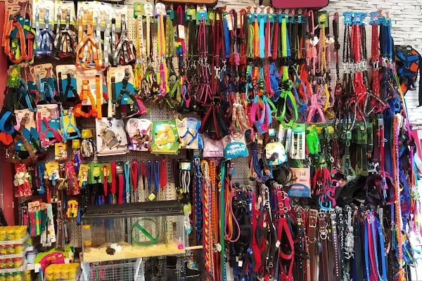 Mia Mia Petshop - Resim 14