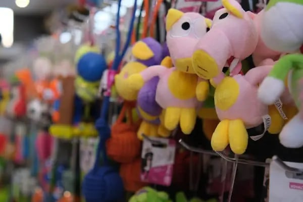 Mia Mia Petshop - Resim 20