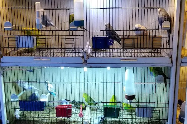 Mia Mia Petshop - Resim 12