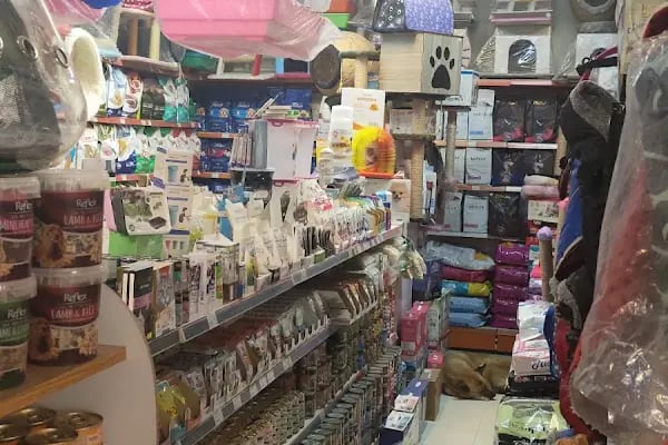 Mia Mia Petshop - Resim 19