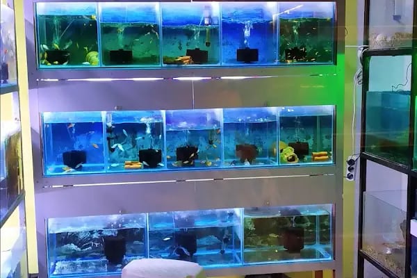 Mia Mia Petshop - Resim 18