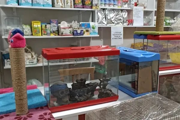 ATEŞ PETSHOP - Resim 2