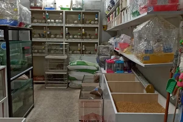 ATEŞ PETSHOP - Resim 3