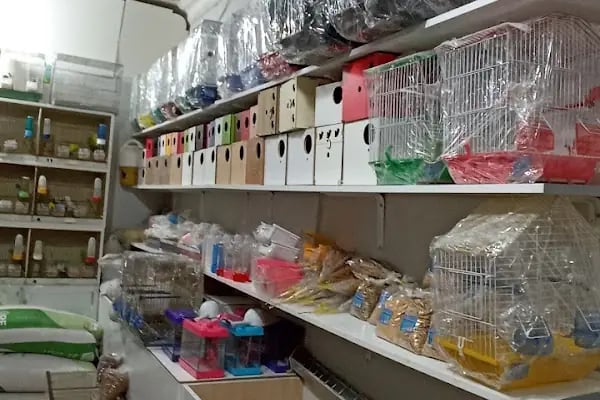 ATEŞ PETSHOP - Resim 1