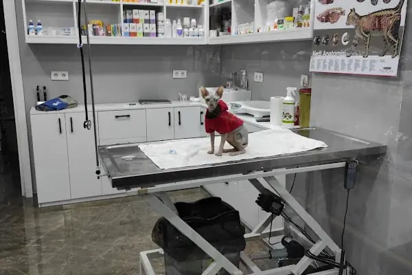 Venüs Veteriner Kliniği - Resim 16