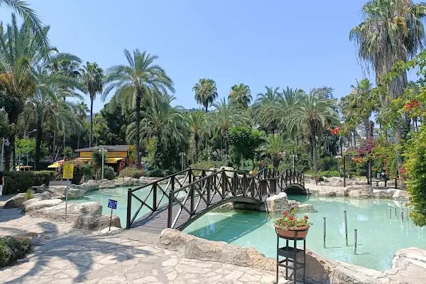 Kedi Evi Park - Resim 2