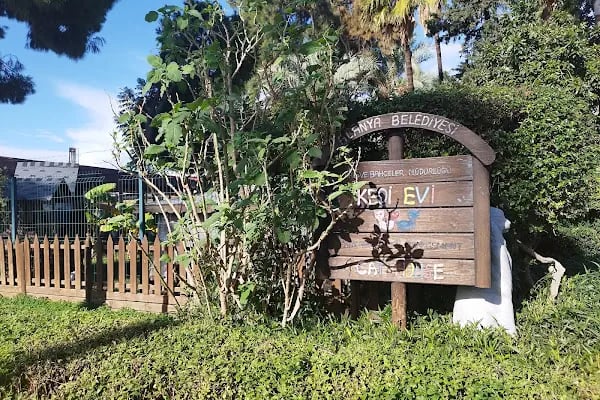 Kedi Evi Park - Resim 10