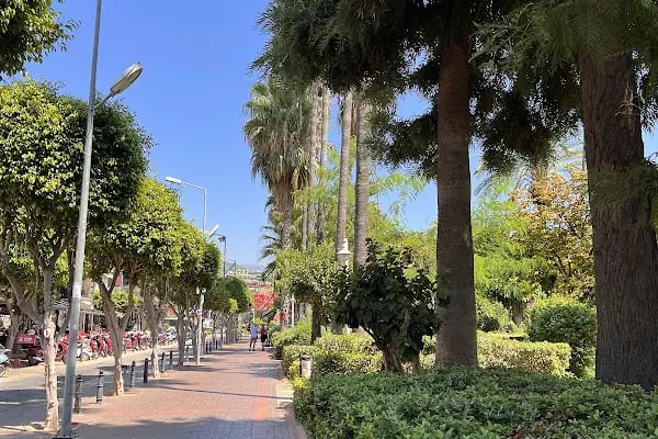Kedi Evi Park - Resim 8