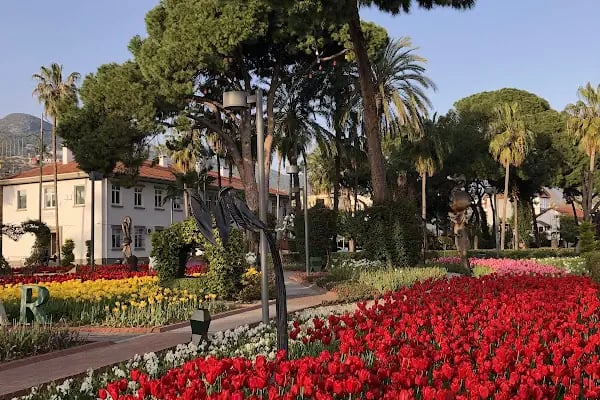Kedi Evi Park - Resim 11