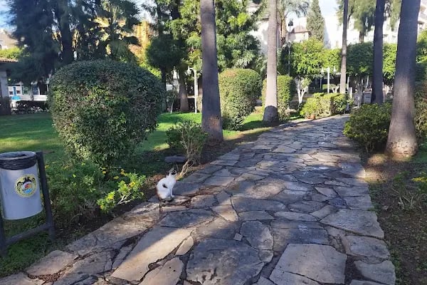 Kedi Evi Park - Resim 12