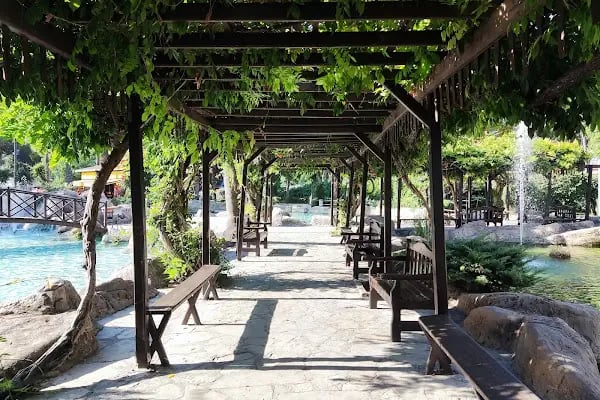 Kedi Evi Park - Resim 7