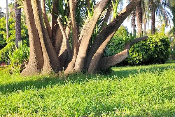 Kedi Evi Park - Resim 16