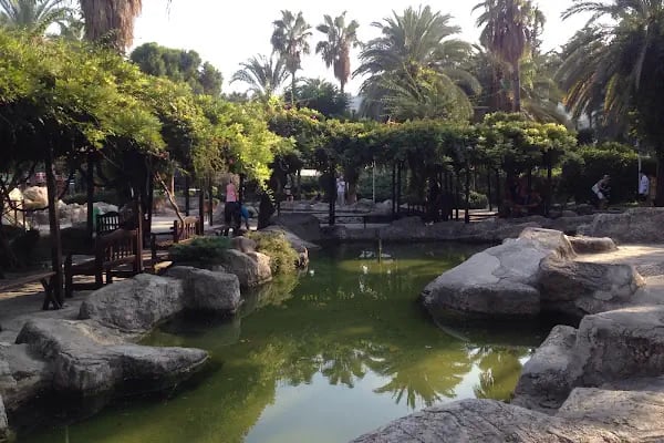 Kedi Evi Park - Resim 4