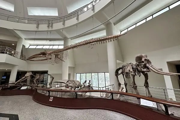 MTA Genel Müdürlüğü Şehit Mehmet Alan Enerji Parkı - Resim 8