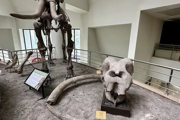 MTA Genel Müdürlüğü Şehit Mehmet Alan Enerji Parkı - Resim 19