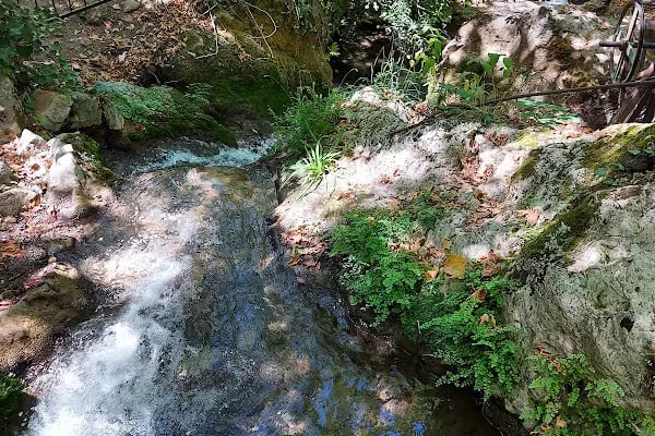 Emendere Saklı Cennet Yüzme Havuzları - Resim 6