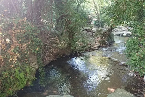 Emendere Saklı Cennet Yüzme Havuzları - Resim 19