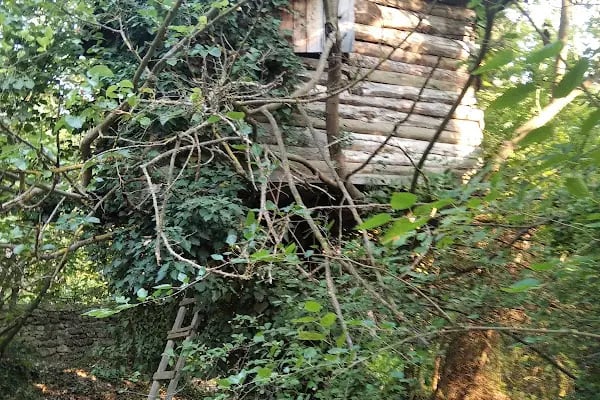 Emendere Saklı Cennet Yüzme Havuzları - Resim 12
