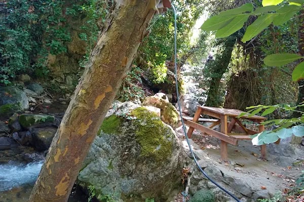 Emendere Saklı Cennet Yüzme Havuzları - Resim 3