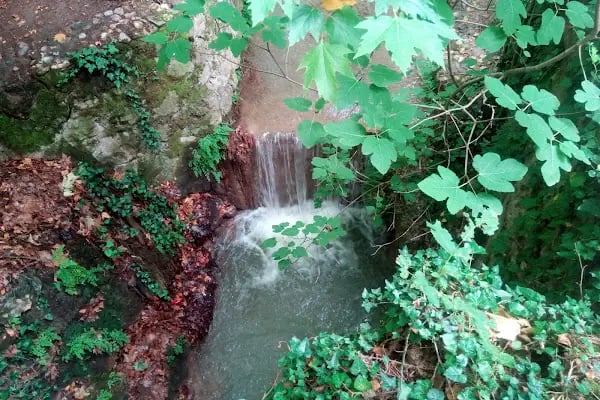 Emendere Saklı Cennet Yüzme Havuzları - Resim 8
