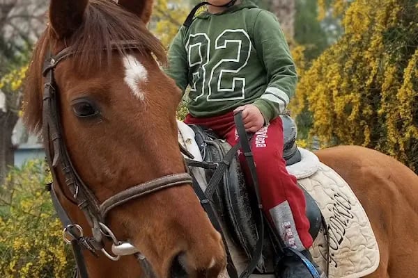 Horse &amp; Dog Academy - Mersin Silifke At Çiftliği, Köpek Oteli ve Kahvaltı - Resim 5