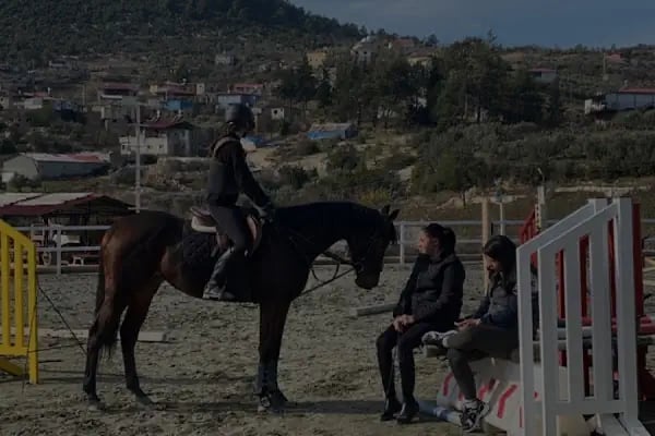 Horse &amp; Dog Academy - Mersin Silifke At Çiftliği, Köpek Oteli ve Kahvaltı - Resim 20