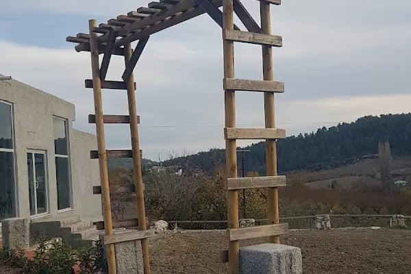 Horse &amp; Dog Academy - Mersin Silifke At Çiftliği, Köpek Oteli ve Kahvaltı - Resim 2
