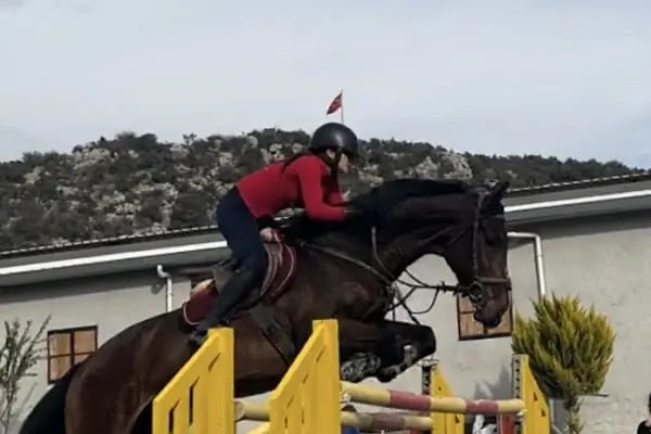 Horse &amp; Dog Academy - Mersin Silifke At Çiftliği, Köpek Oteli ve Kahvaltı - Resim 3
