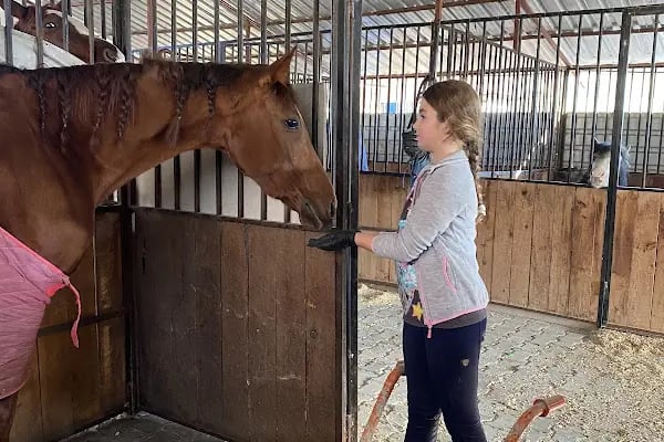 Horse &amp; Dog Academy - Mersin Silifke At Çiftliği, Köpek Oteli ve Kahvaltı - Resim 18