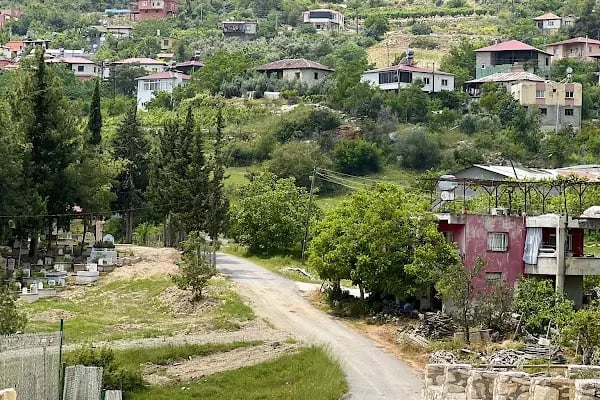 Horse &amp; Dog Academy - Mersin Silifke At Çiftliği, Köpek Oteli ve Kahvaltı - Resim 13