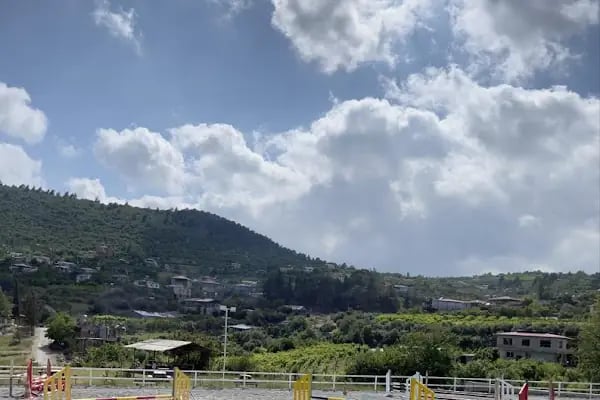 Horse &amp; Dog Academy - Mersin Silifke At Çiftliği, Köpek Oteli ve Kahvaltı - Resim 17