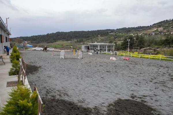 Horse &amp; Dog Academy - Mersin Silifke At Çiftliği, Köpek Oteli ve Kahvaltı - Resim 11