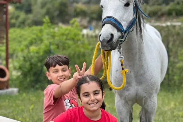 Horse &amp; Dog Academy - Mersin Silifke At Çiftliği, Köpek Oteli ve Kahvaltı - Resim 7