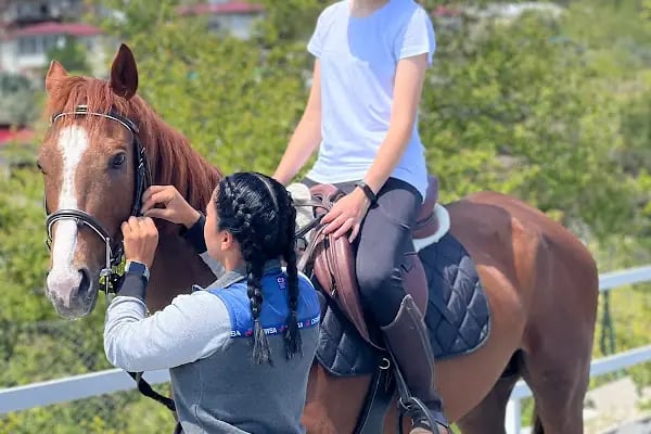 Horse &amp; Dog Academy - Mersin Silifke At Çiftliği, Köpek Oteli ve Kahvaltı - Resim 12