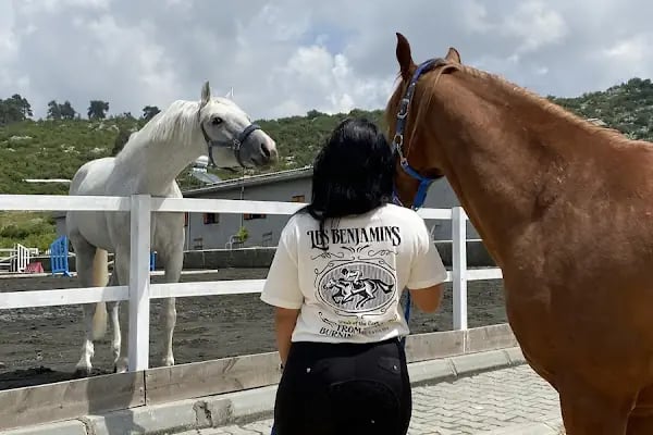 Horse &amp; Dog Academy - Mersin Silifke At Çiftliği, Köpek Oteli ve Kahvaltı - Resim 4