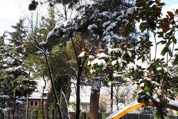 Bursa İlker Çelikcan Fizik Tedavi ve Rehabilitasyon Hastanesi - Resim 12