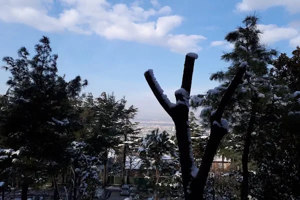 Bursa İlker Çelikcan Fizik Tedavi ve Rehabilitasyon Hastanesi - Resim 9