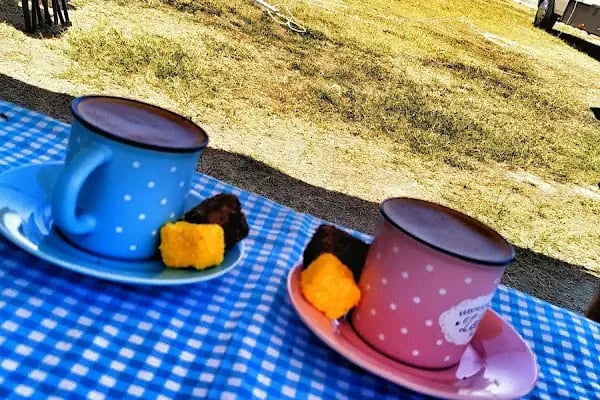 Davutlar Gençlik Karavan ve Çadır Kampı - Resim 2